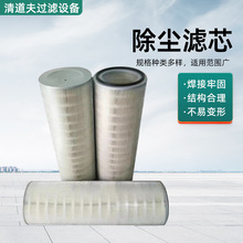 批发可定除尘滤芯过滤抛丸机粉末回收工业滤筒聚酯布过滤器