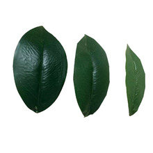 ͲGֲë~ײtƬGDIYbĔzSl