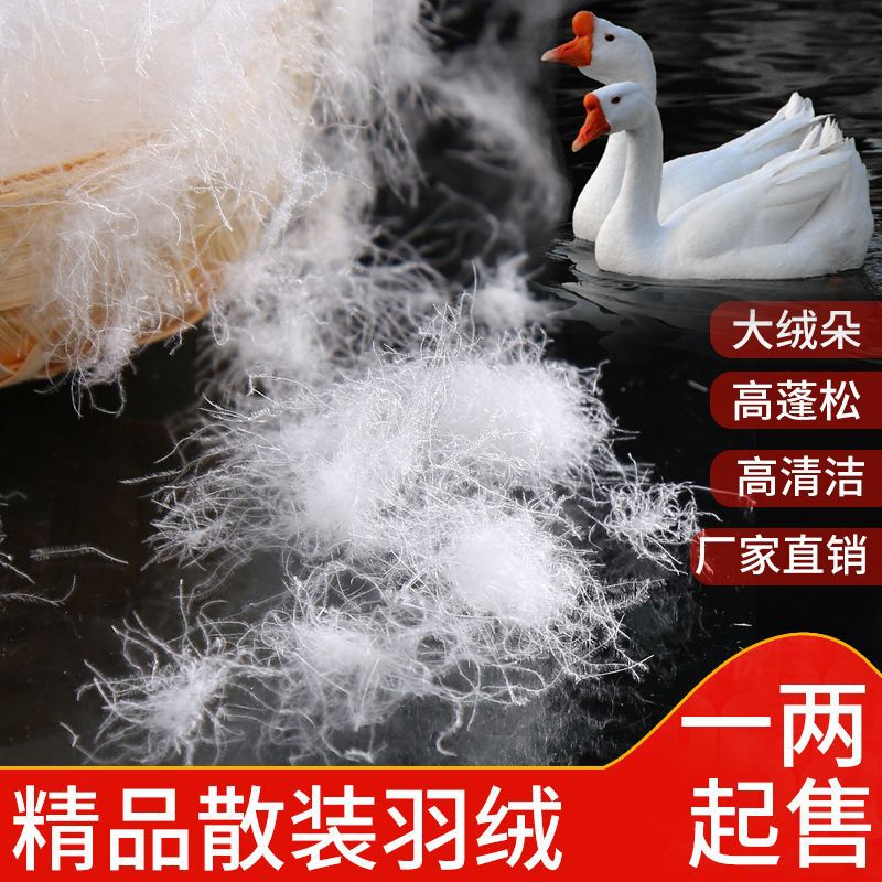 Bulk down Raw Materials White Duck down Goose down Large down for Duvet down Jacket Filling 98% down Washable down Factory