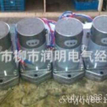 HDZ-220110系列交直流两用电动机