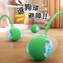 ��������Ԅ��޹�����ҧ���˶��������ӱ���С��Ȯ����С��ͻͻ��
