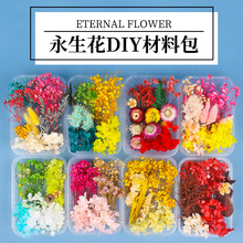 天然干花永生花假花仿真花儿童手工diy幼儿园自制团扇贴画材料欣