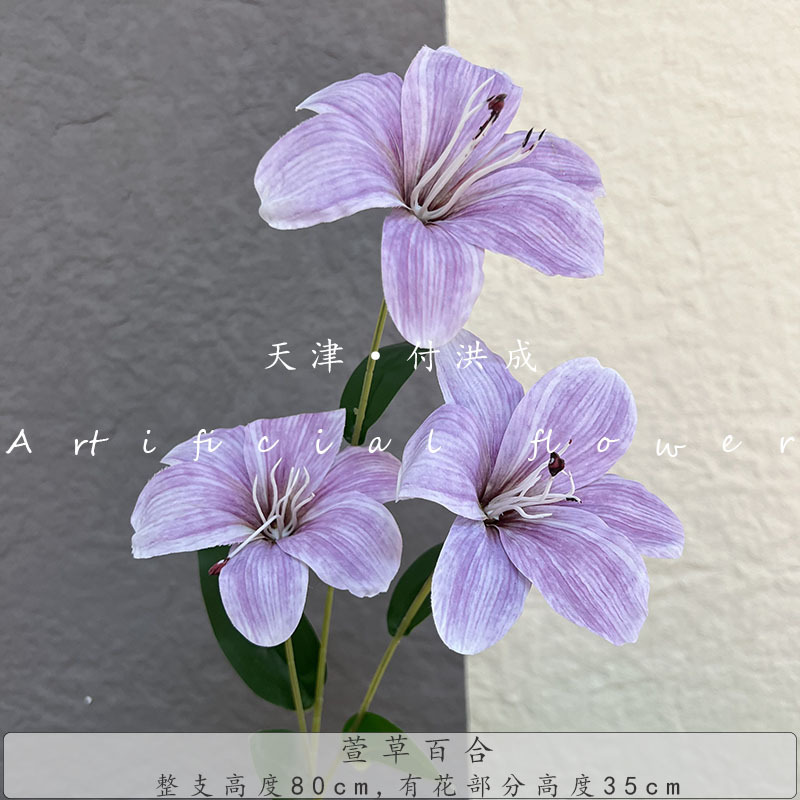 헤메로칼리스 릴리-라이트 퍼플