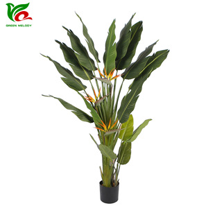 ֲB҃ȴ;GֲWins˽˽