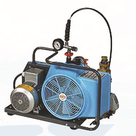 空气压缩机AUER JUNIOR II-E     宝华充气泵   德国充气泵