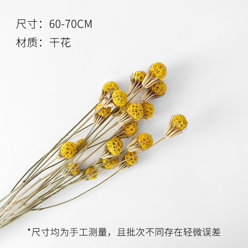 芯苼 中秋节月满丰收干花鲜花束搭配材料节日礼物装饰花艺手工diy|undefined