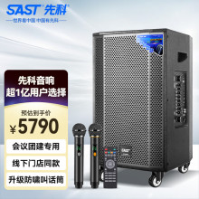 先科15英寸户外广场舞音响 移动拉杆便携式蓝牙音箱大音量户外K歌