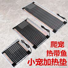 ����ӟ�|̼��ʯīϩ늟�Ĥ���x�Ꭷ�~������؈�乷��늟�̺