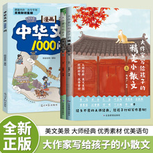 大作家写给孩子的精美小散文书籍优美词句积累启发儿童灵感写作书