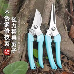 フラワーアーティストのフラワーアレンジメント専用ハサミ、剪定鋏、園芸用剪定枝、花、盆栽、花摘み、果物摘み加工品