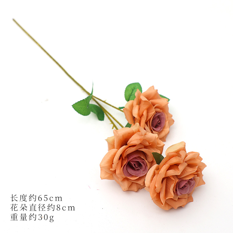 산호 보라색