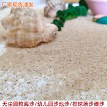 批发无尘圆粒海沙排球沙滩场沙子幼儿园沙池沙儿童白沙源头工厂