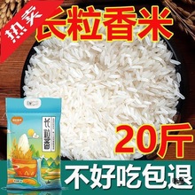 大米10一袋20斤长粒新米晚稻丝苗米蛋炒饭猫牙米煮饭10斤批发