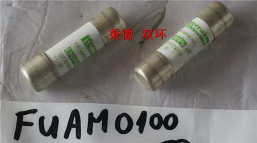 Compass Water Solutions熔断器 FUAM0100