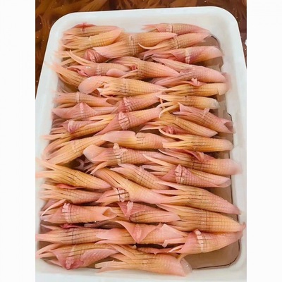 squid wholesale squid Squid Hot Pot Take food String barbecue Teppanyaki Ingredients wholesale