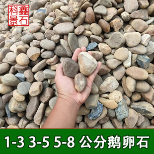 ���ݲ��_�������Z��ʯ �������l�r����� �·�õ�Сʯ��