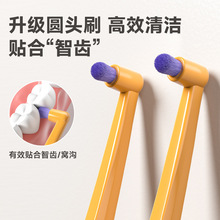 德国贝纶刷丝单束牙刷正畸牙齿小圆头窝沟智齿牙缝刷单支装厂家
