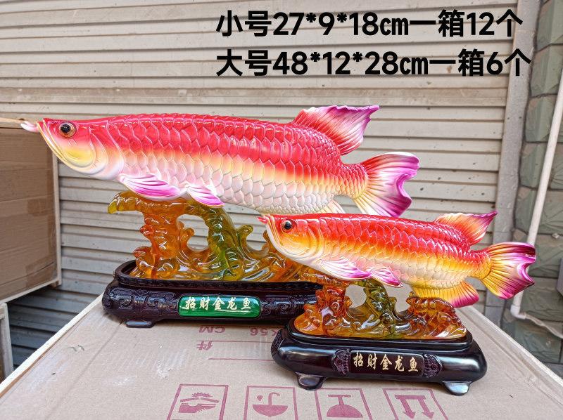 803小802大金龙鱼