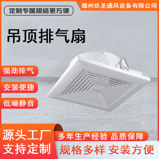 �l���g�o���Ś��ȏ������L�Q���ȏN��abs�ş�ϵ�y ԡ�Ҡ����Ś���