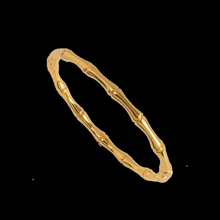 Plating Design Elegant Solid Color Titanium Steel Plating Bangle