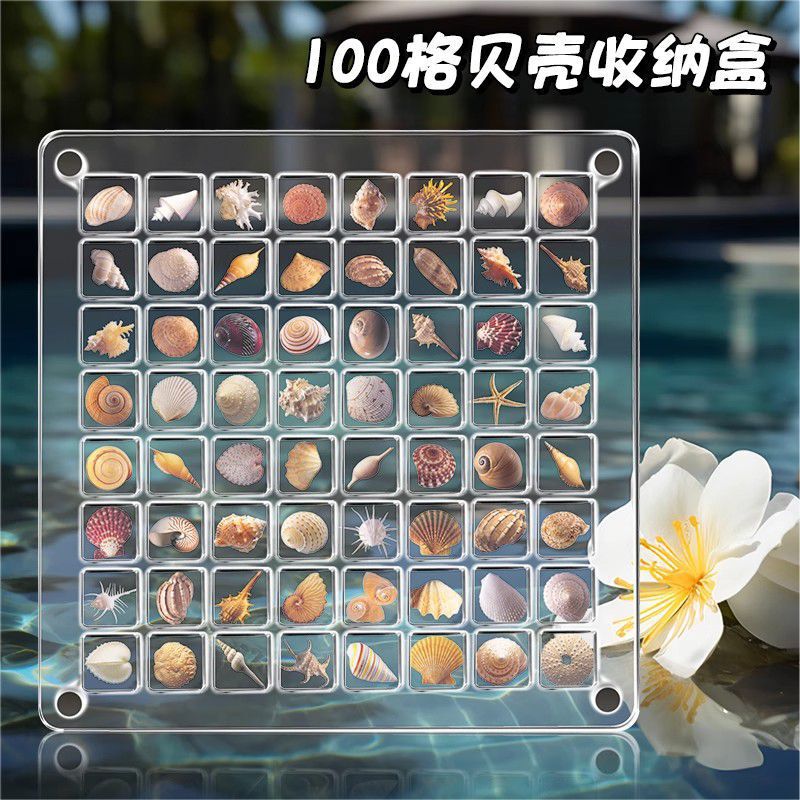 Xiaohongshu's Popular Acrylic Nail Art Diamond Box Transparent Mini Conch Shell Storage Box Nail Jewelry Display Box Xiaohongshu's Popular Acrylic Nail Art Diamond Box Transparent Mini Conch Shell Storage Box Nail Jewelry Display Box