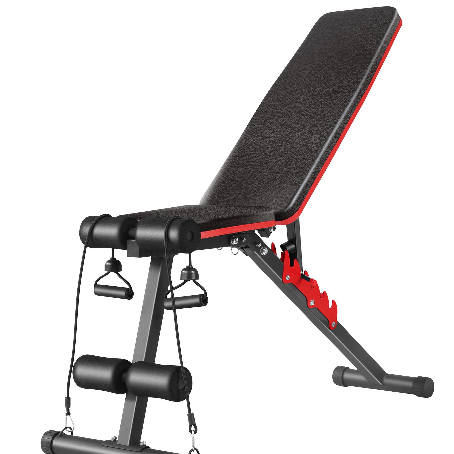 Dodex Dds Dumbbell Bench Home Sit-Up Board Fitness Equipment Fly Bird Fitness Chair