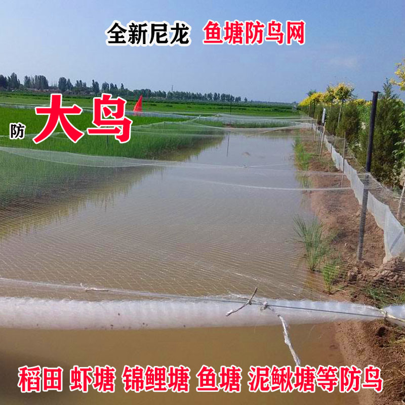 鱼塘防鸟网泥鳅塘天网养殖网牛蛙网大网眼尼龙综丝纱网防鸟用的网