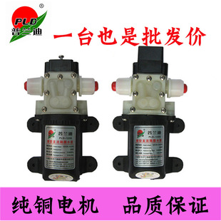 Plandi 12V25W45W24V35W Dc Diaphragm Pump Self-Priming Micro Water Pump High Pressure Pump Water Pump