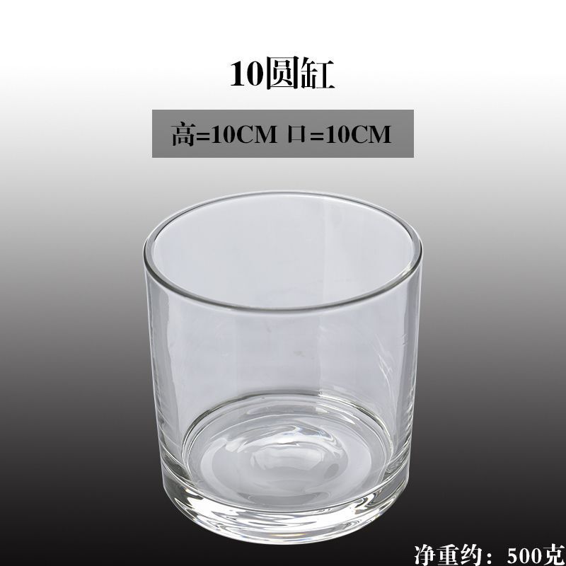 水培郁金香花盆正方形玻璃花瓶透明绿萝水养植物乌龟方缸摆件插花|undefined