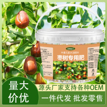 枣树专用肥料营养液保花果冲施肥叶面肥水溶肥园艺植物专用复合肥