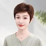 女士妈妈中老年真人发