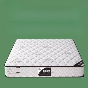 Hong Kong Haima Simmons Soft Mattress Top Ten Famous Brands Economical 20cm Thick Household Spring Latex Coconut Palm Rental