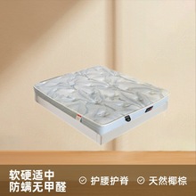 �F؛ֱ�l��ͯ�؉|��ȻҬ�ش��|�o�����������������p�˴�Ҭ�ش��|