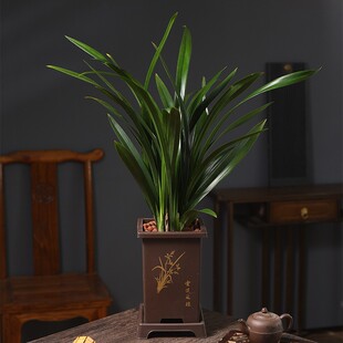 �m���������ī�m���������m�����҃�ֲ��͏d�k���ҾGֲ�ļ����B