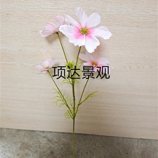 ��������~��˹��ӭ���������������c·���������쾰�b�