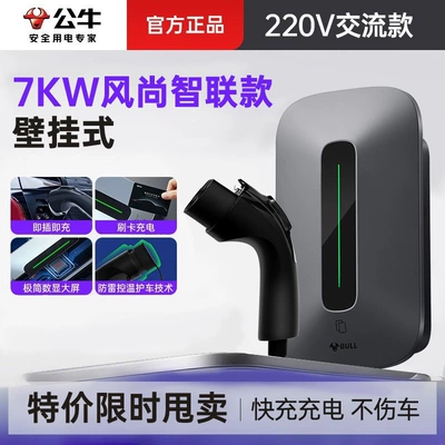 energy electric vehicles, Elektrikli avtomobil şarj stansiyaları - 7kw-ac-charging-stationfashionable-model-220v-single-phase-meter-32a-35minstallation-not-included