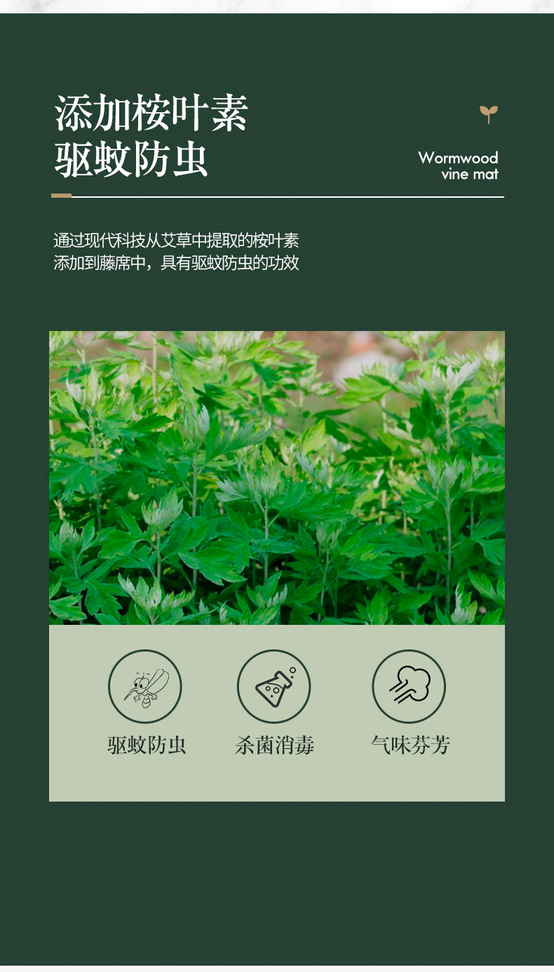艾草_09