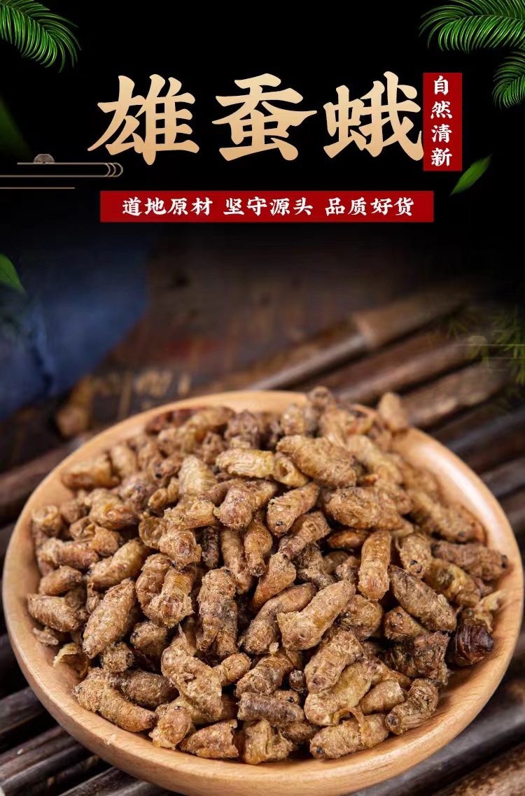 Male Silkworm Moth (Bombyx mori) — Dried Whole Male Moth for Traditional Herbal Infusions in use