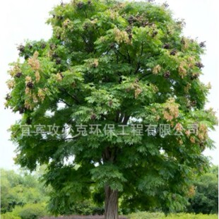 ��䣺�f�����؈@�־G��ͥԺ�G�����@�G�����������е������l���S