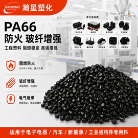 PA6;PA66;PPA