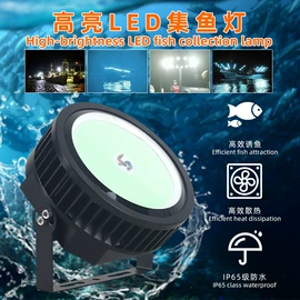 太阳能灯;道路照明灯;投光灯