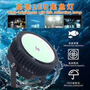 Fish attractinglights1000W���⼯�~�����ò��~��220V�G���T�~��