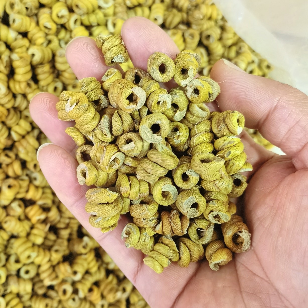 Huoshan Dendrobium Fengdou Granules Mi Hu Tie Pi Shi Hu Bulk 1kg Wholesale quality and texture