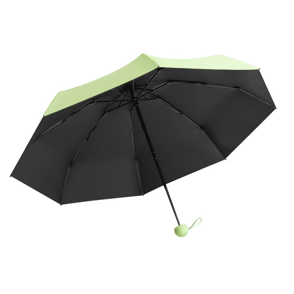 Matcha green 5 % off 8 bones