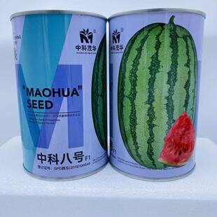 ï�A�Ϲ��п����������ψA�δ�tȿ���ܶȳ��������N������