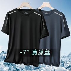 【出荷が早い】夏の氷糸tシャツ男丸襟速乾衣半袖通気性大サイズ上着男運動がゆるい