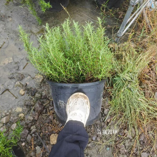 ����ֱ�N�Ե������Ծ�Ʒ��a�ع������ֲ��ͥԺ����