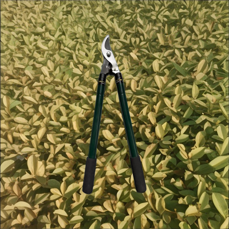 厂家直销供应高质量高枝剪树枝剪粗枝剪园林剪