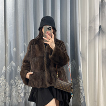 2025新款进口天鹅绒水貂皮草整貂外套貂皮大衣女短款年轻版
