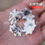 天然幼儿园手工彩色笠螺